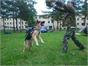 Klub kepek 2014- 0975